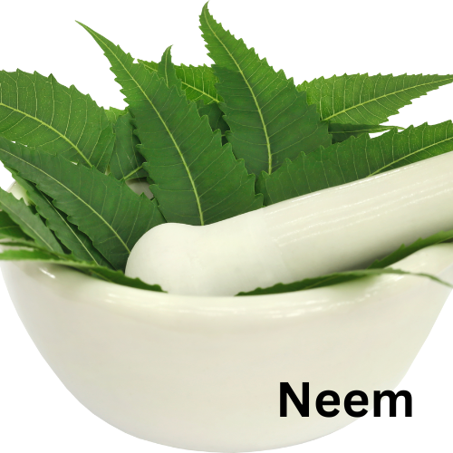 Neem